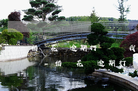 借唄花唄逾期打電話讓我快點(diǎn)還-借唄花唄逾期打電話讓我快點(diǎn)還錢