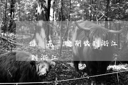 借唄花唄逾期收到浙江綠銀(借唄花唄逾期收到浙江綠銀)