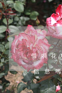 借唄花唄逾期會(huì)1068開頭來信息嗎-花唄借唄逾期50天收到電話說要立案處理是真的嗎?