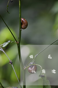 借唄花唄逾期會(huì)上黑名單嗎(借唄以前逾期過,但是全部還了,進(jìn)入黑名單不)