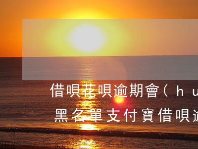 借唄花唄逾期會(huì)不會(huì)黑名單(支付寶借唄逾期多久會(huì)上黑名單)