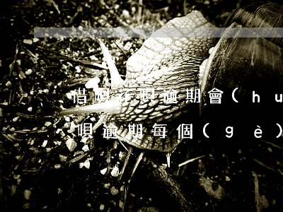 借唄花唄逾期會(huì)被起訴么 花唄借唄逾期每個(gè)月都有還會(huì)被起訴嗎