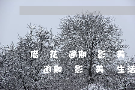 借唄花唄逾期會影響美團生活費嗎-借唄花唄逾期會影響美團生活費嗎