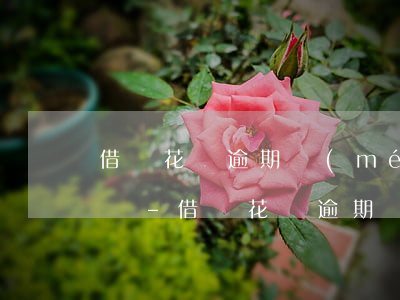 借唄花唄逾期沒(méi)有償還能力怎么辦-借唄花唄逾期沒(méi)有償還能力怎么辦呢