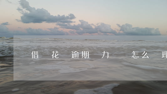 借唄花唄逾期無力償還怎么處理-