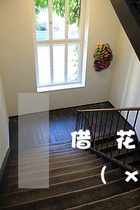 借唄花唄逾期無力償還本金(花唄,借唄逾期了,現(xiàn)在沒有能力償還怎么辦)