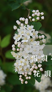 借唄花唄逾期發(fā)個律師函怎么辦-花唄逾期發(fā)來律師函怎么辦