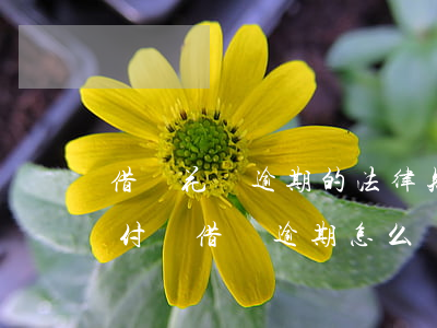 借唄花唄逾期的法律知識(shí)(如果支付寶借唄逾期怎么辦?)