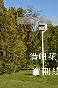 借唄花唄逾期總共10000萬-借唄花唄逾期總共10000萬怎么辦