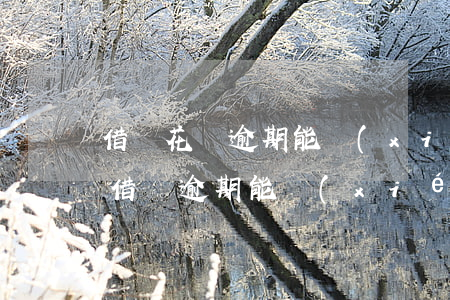 借唄花唄逾期能協(xié)商分期還款嗎(借唄逾期能協(xié)商分期付款嗎)