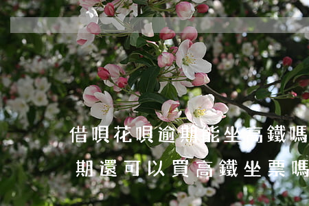 借唄花唄逾期能坐高鐵嗎(支付寶花唄借唄逾期還可以買高鐵坐票嗎)