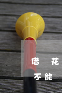 借唄花唄逾期能辦信用卡不(花唄借唄逾期能不能辦信用卡)