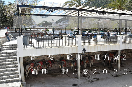 借唄花唄逾期處理方案2020-借唄花唄逾期處理方案2020年