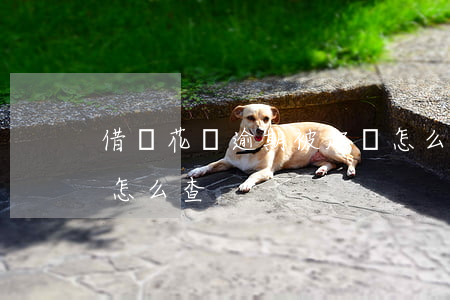 借唄花唄逾期被起訴怎么查到-借唄有逾期怎么查