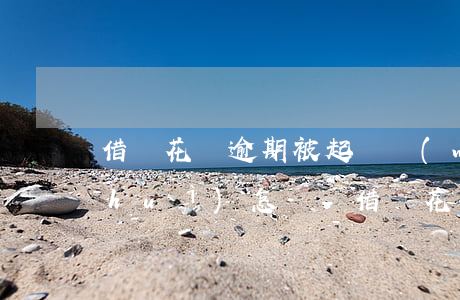 借唄花唄逾期被起訴無(wú)力償還會(huì)怎樣-借唄花唄逾期被起訴無(wú)力償還會(huì)怎樣處理