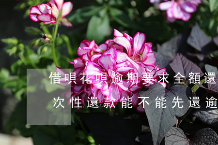 借唄花唄逾期要求全額還款(借唄逾期要求一次性還款,能不能先還逾期的部分)