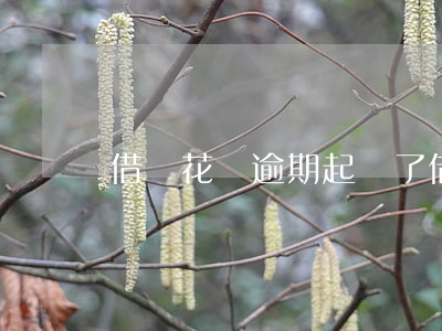 借唄花唄逾期起訴了(借唄花唄逾期起訴了)