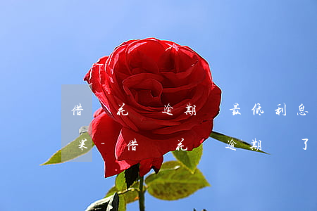 借唄花唄逾期還最低利息最壞結(jié)果-借唄花唄逾期還了最低款多久能恢復(fù)額度