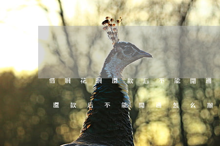 借唄花唄還款后不能開通怎么辦-借唄花唄還款后不能開通怎么辦呢