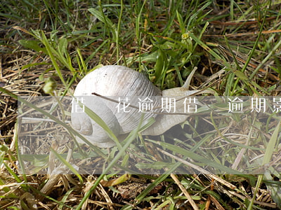 借唄花逾期，借唄逾期影響征信嗎