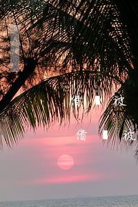 借唄被關(guān)了欠的錢能慢慢還嗎(借唄被關(guān)閉欠的錢是不是全部還進去了就不能借出來了)