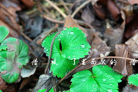借唄被關了里面欠的錢(借唄還清被關了)
