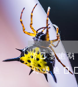 借唄要逾期了會爆通訊錄嗎(借唄逾期會不會打爆通訊錄)