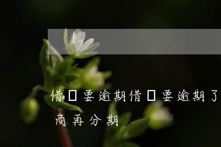 借唄要逾期，借唄要逾期了才能協(xié)商再分期