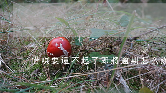 借唄要還不起了即將逾期怎么辦-