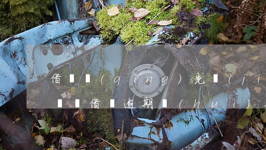 借唄請(qǐng)先結(jié)清逾期賬單(借唄逾期會(huì)要求一次性結(jié)清借款嗎)