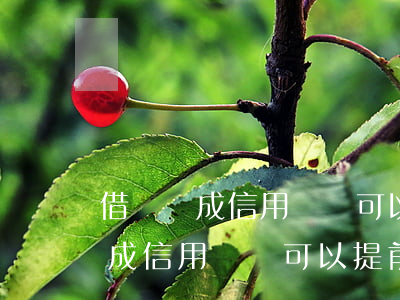 借唄變成信用貸還可以提前還款嗎-借唄變成信用貸還可以提前還款嗎安全嗎