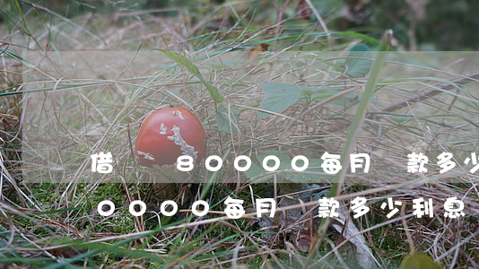 借唄貸80000每月還款多少-借唄貸80000每月還款多少利息