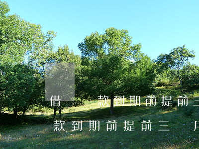 借唄貸款到期前提前三個月還款嗎-借唄貸款到期前提前三個月還款嗎可以嗎
