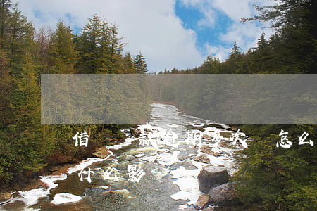 借唄貸款逾期多次會怎么樣(借唄多次逾期有什么影響)