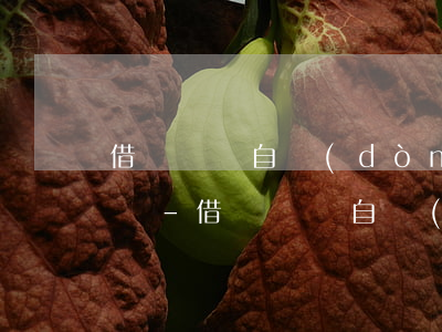 借唄賬單自動(dòng)還款了還能再借嗎-借唄賬單自動(dòng)還款了還能再借嗎安全嗎
