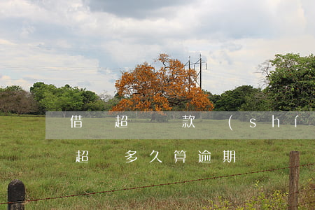 借唄超過還款時(shí)間算逾期嗎(借唄超過多久算逾期)