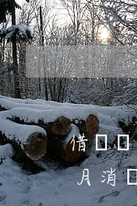 借唄這個月消費下個月幾號還款-借唄這個月消費下個月幾號還款啊