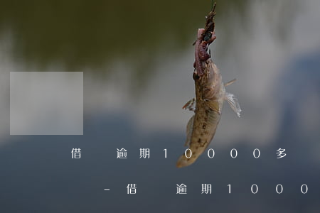 借唄逾期10000多會(huì)被起訴嗎-借唄逾期10000多會(huì)被起訴嗎知乎