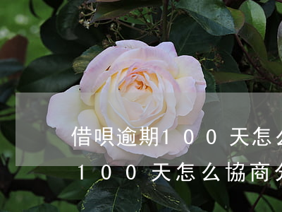 借唄逾期100天怎么協商分期-借唄逾期100天怎么協商分期還款