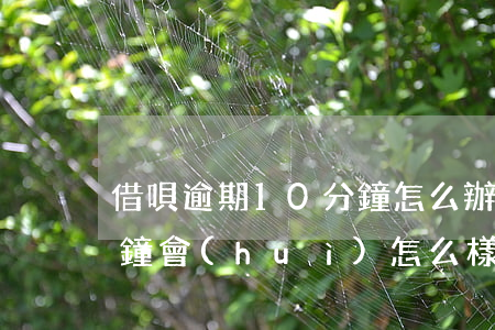 借唄逾期10分鐘怎么辦(借唄逾期10多分鐘會(huì)怎么樣)