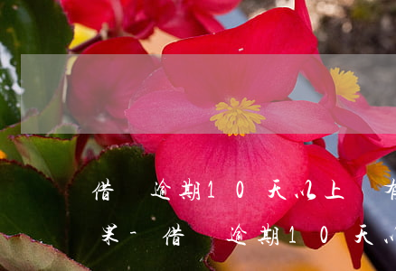 借唄逾期10天以上會有什么結(jié)果-借唄逾期10天以上會有什么結(jié)果嗎