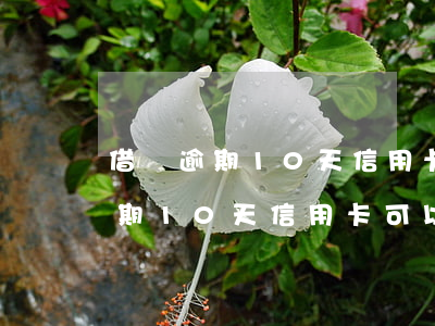 借唄逾期10天信用卡可以激活嗎-借唄逾期10天信用卡可以激活嗎怎么辦