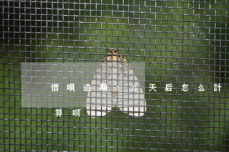 借唄逾期10天后怎么計算(借唄逾期怎么計算啊?)