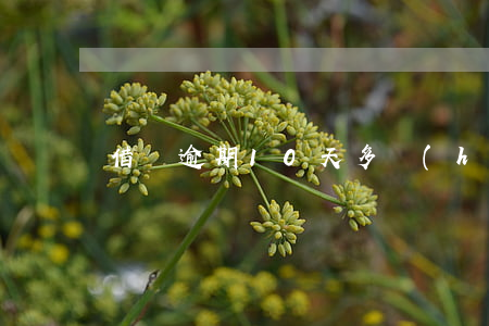 借唄逾期10天多會(huì)能用