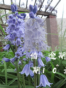 借唄逾期10天會(huì)怎么樣(借唄逾期10天會(huì)怎么樣 知乎)
