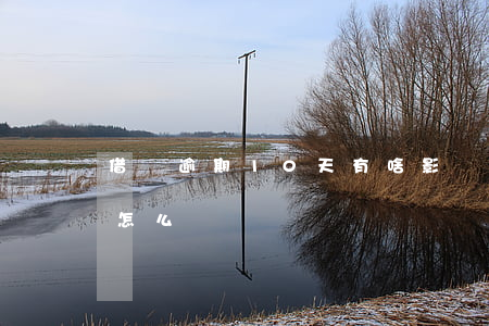 借唄逾期10天有啥影響嗎(借唄逾期十天會怎么樣)