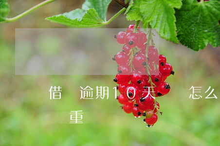 借唄逾期10天還會怎么樣(借唄逾期十多天嚴重嗎?)