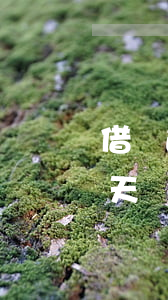 借唄逾期10天還款可以嘛(借唄逾期了10天還進(jìn)去還能借嗎)