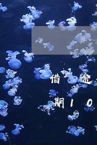 借唄逾期10天還顯示可借的額度-借唄逾期10天還顯示可借的額度嗎