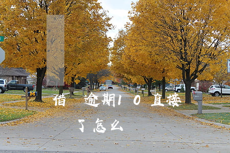 借唄逾期10直接關閉嗎(借唄不小心逾期關閉了怎么辦)